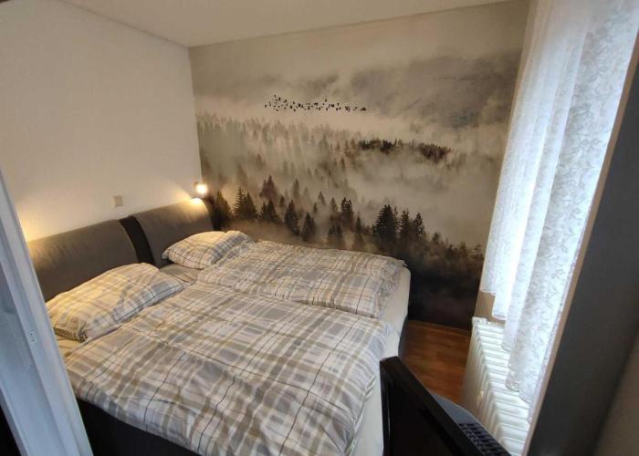 Ferienwohnung Marx, K1 Blick, Willingen, Hoppecketal, Waschmaschine, Trockner