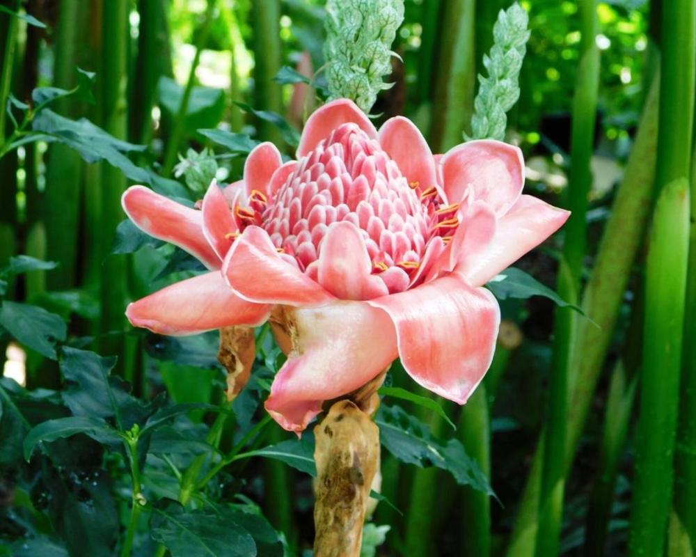 фото パーク琴芝