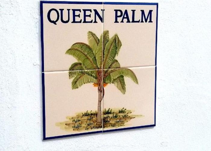 Queen Palm