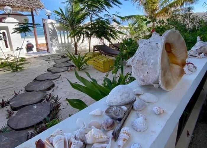 Mambo Paradise