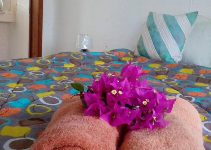 appartement lagon blue