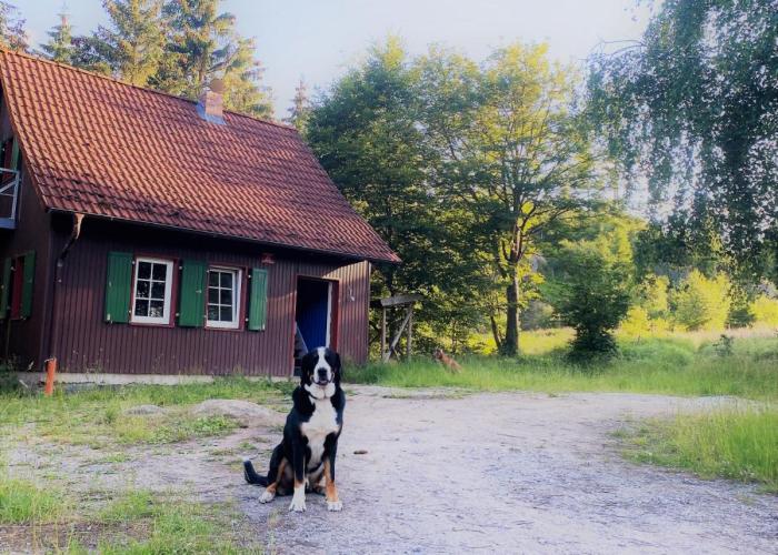 Hexenhaus im Jagdhof Carlshaus