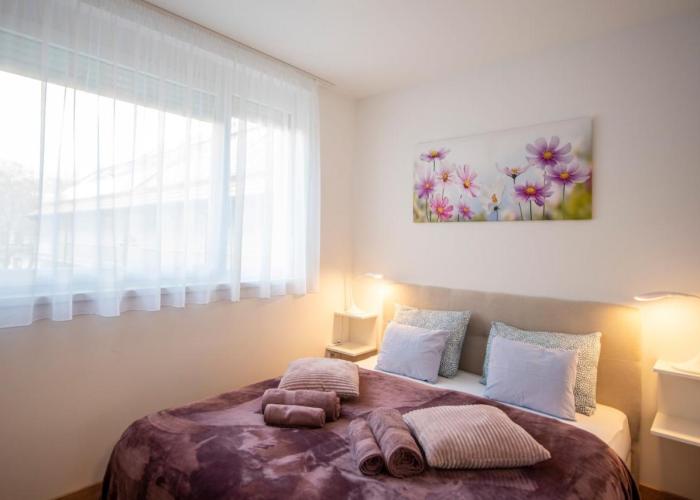Cute apartman- free parking