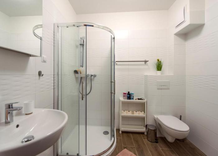 Cute apartman- free parking