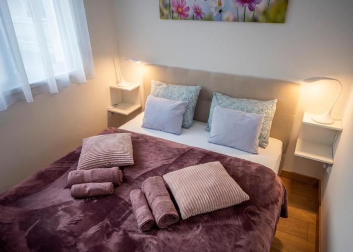 Cute apartman- free parking