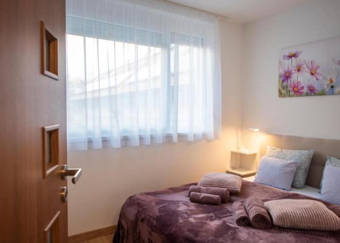 Cute apartman- free parking
