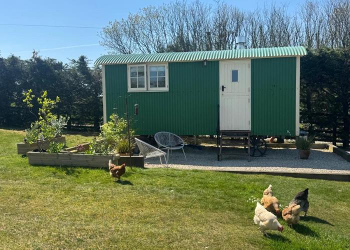 Toms Hut and Robins Rest Shepherd Huts near Wadebridge