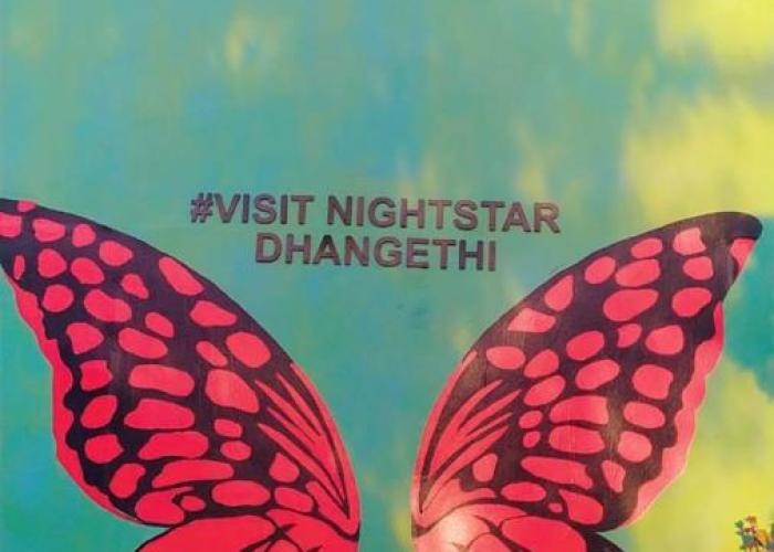 Night Star Dhangethi