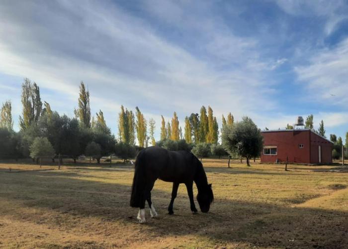 Finca La Calma