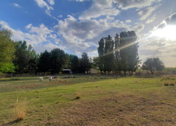 Finca La Calma