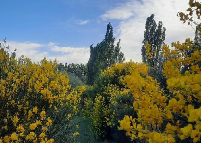 Finca La Calma