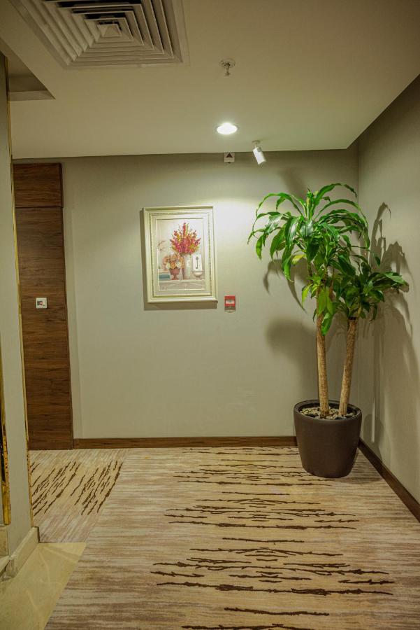 фото ديمور - المروة