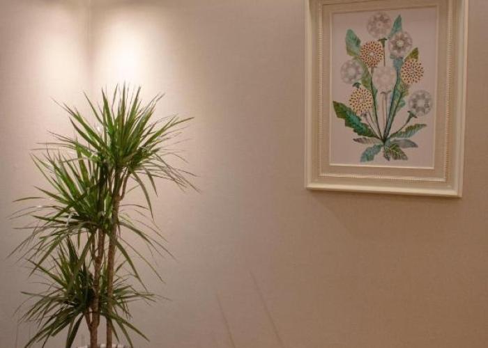 ديمور - المروة