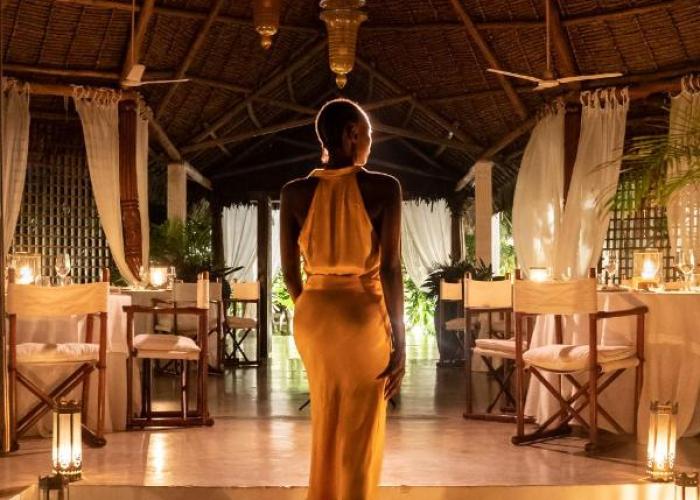Lion in the Sun Billionaire Retreat Malindi