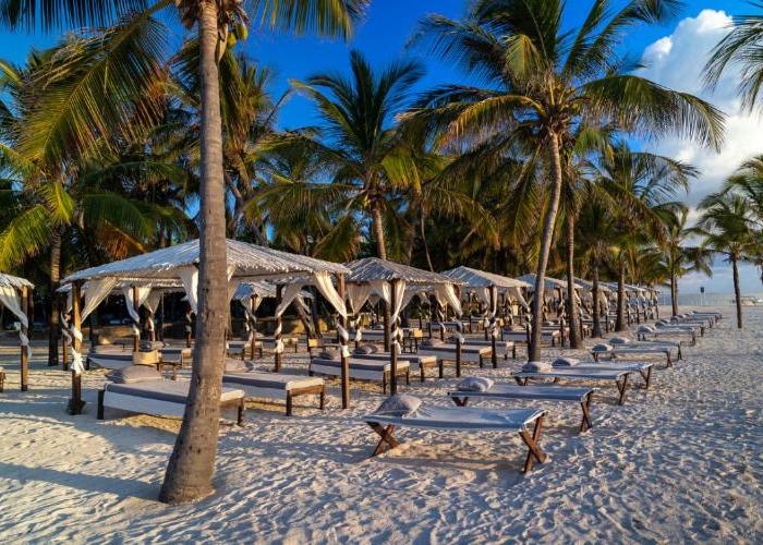 Lion in the Sun Billionaire Retreat Malindi