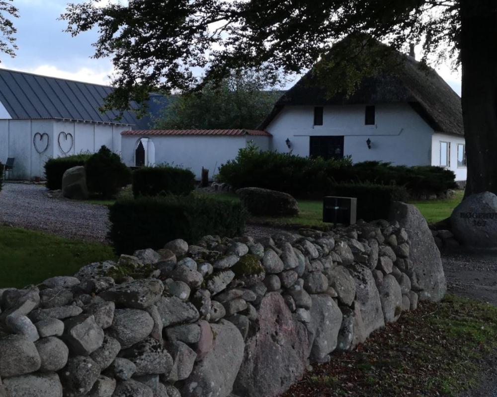 фото Bøgehus