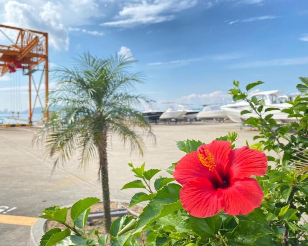 фото BAY MARINA Loghouse - Vacation STAY 09656v