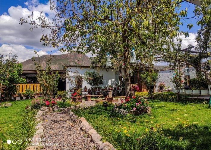The Willow B&B