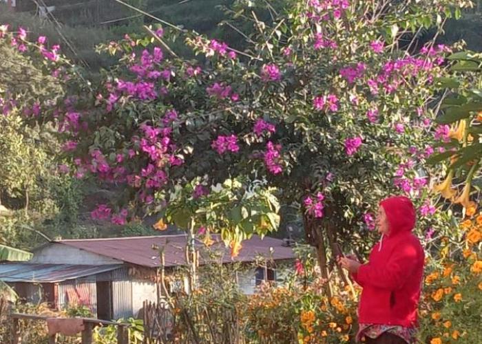 Nagarkot Nayagaun Homestay
