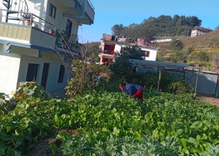 Nagarkot Nayagaun Homestay