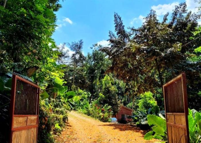 Ecoscape Jamaica - Cottages by the river