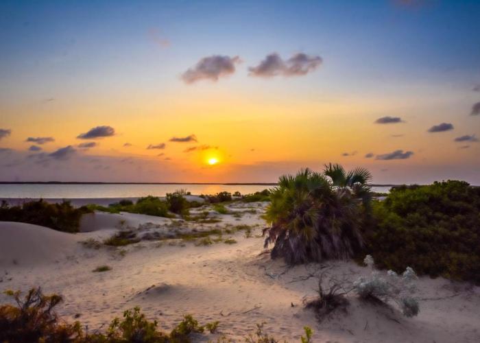 Kizingo Beach Eco Lodge