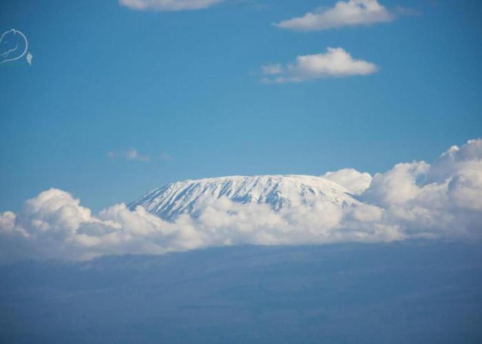 Amanya 2- Twin Pitch Tent with Mt Kili view