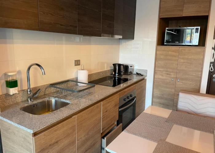 Apartamentos Concepción Centro