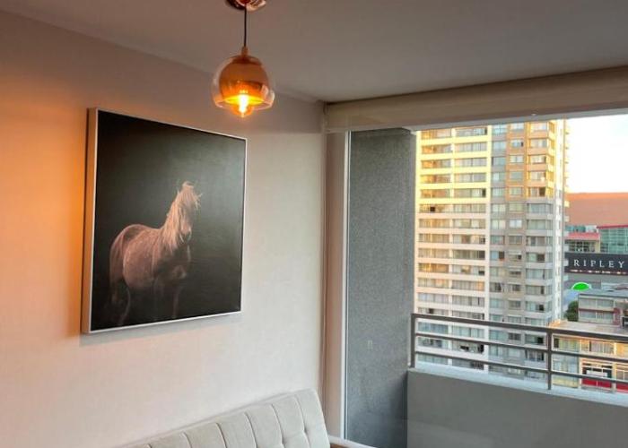 Apartamentos Concepción Centro