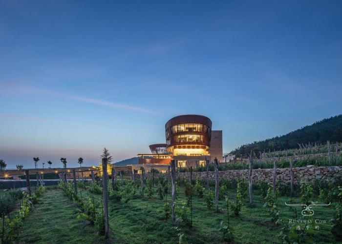 Runaway Cow Winery Retreat
