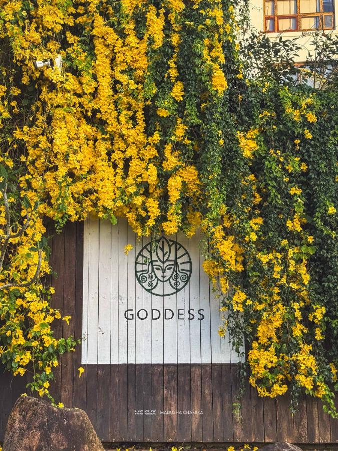 фото GODDESS Kandy
