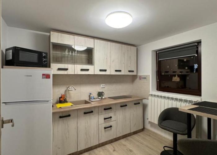 Garsonierele Scandinav