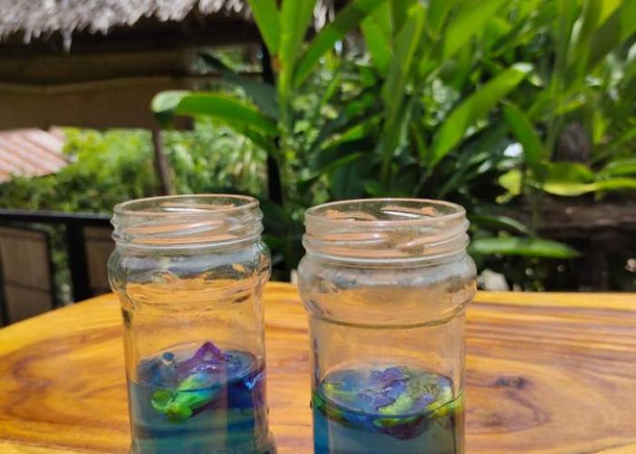 Payag n' Kapitan, Experience pinubre living