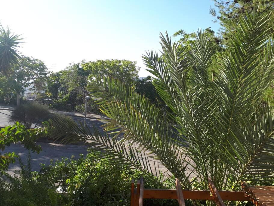 фото oded Inviting housing