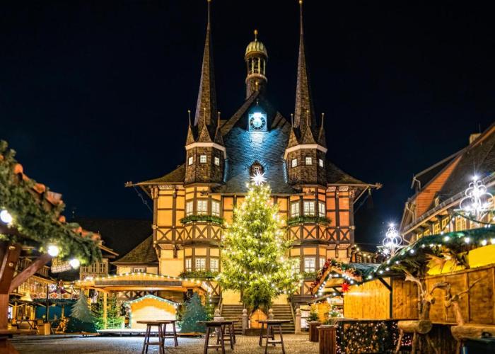 FeWo Wanderlust #Innenstadt#Außenbereich#ruhige Lage von Harztraveler
