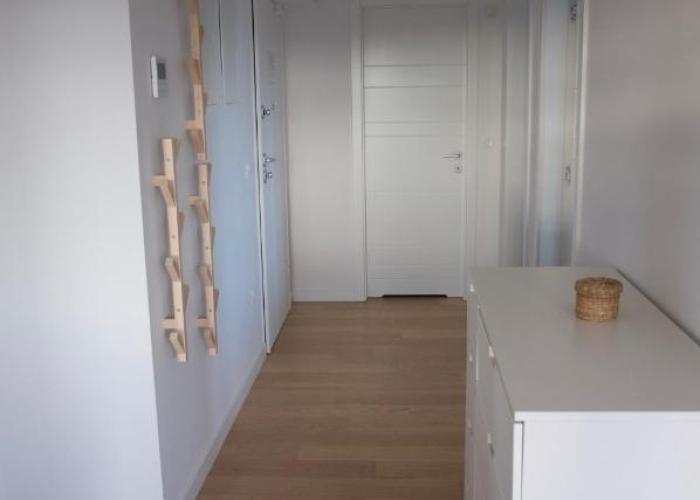 Nikola Luxury Apartments Borik