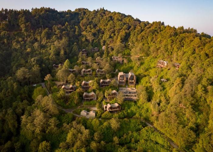 Kavya Resort & Spa