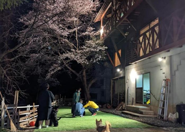 Guesthouse ワンコと泊まるジャスミンクリーク