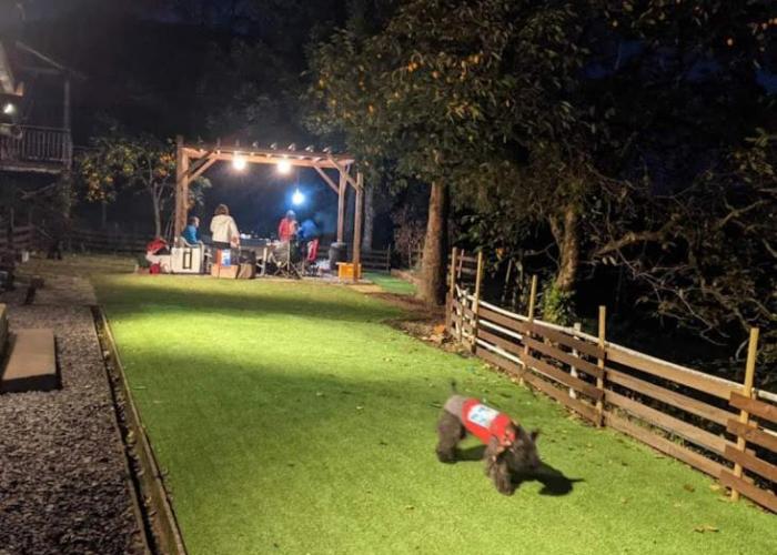 Guesthouse ワンコと泊まるジャスミンクリーク