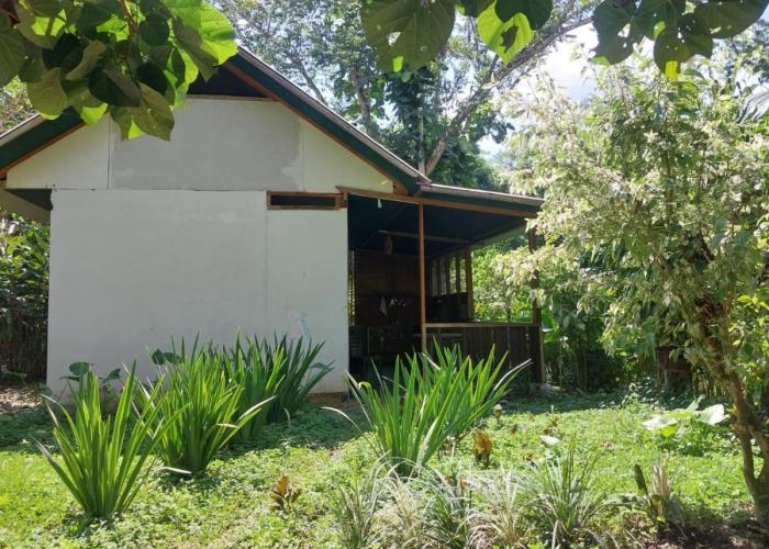 JARDIN DE LAS MUSAS