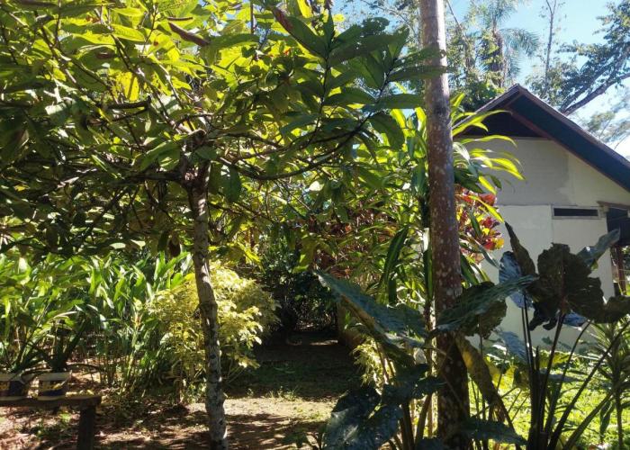 JARDIN DE LAS MUSAS