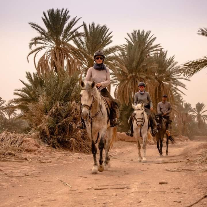 фото Bivouac ZAGORA