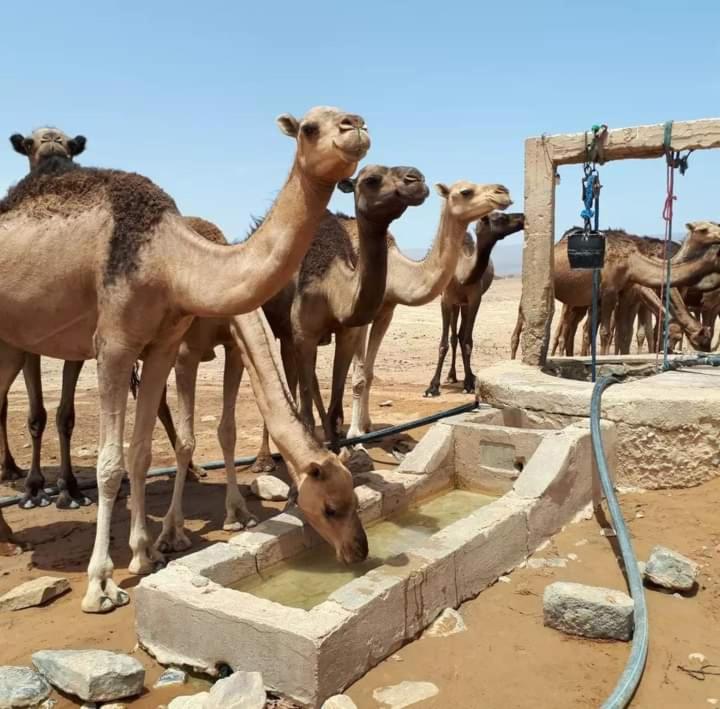 фото Bivouac ZAGORA