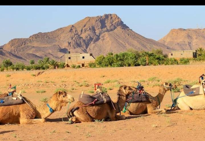 фото Bivouac ZAGORA