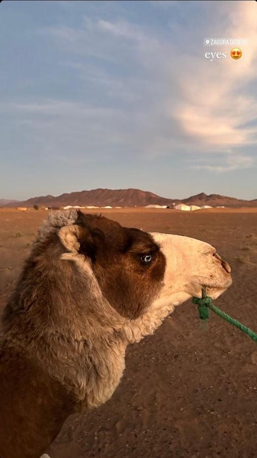 фото Bivouac ZAGORA