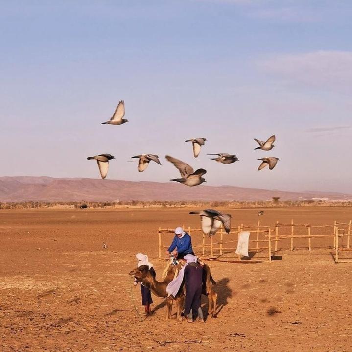 фото Bivouac ZAGORA