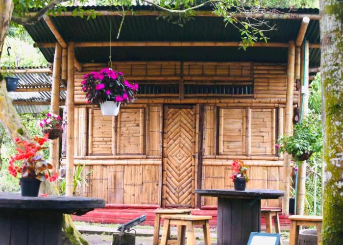 Hostal La Pijaraña