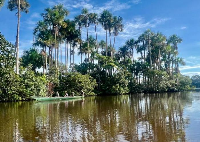 Tronco Tambopata Adventure