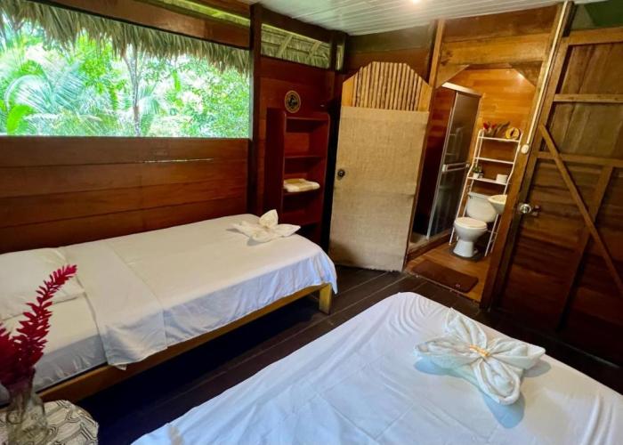 Tronco Tambopata Adventure