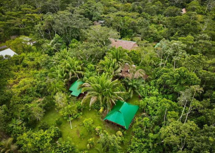 Tronco Tambopata Adventure